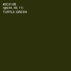 #2C310B - Turtle Green Color Image